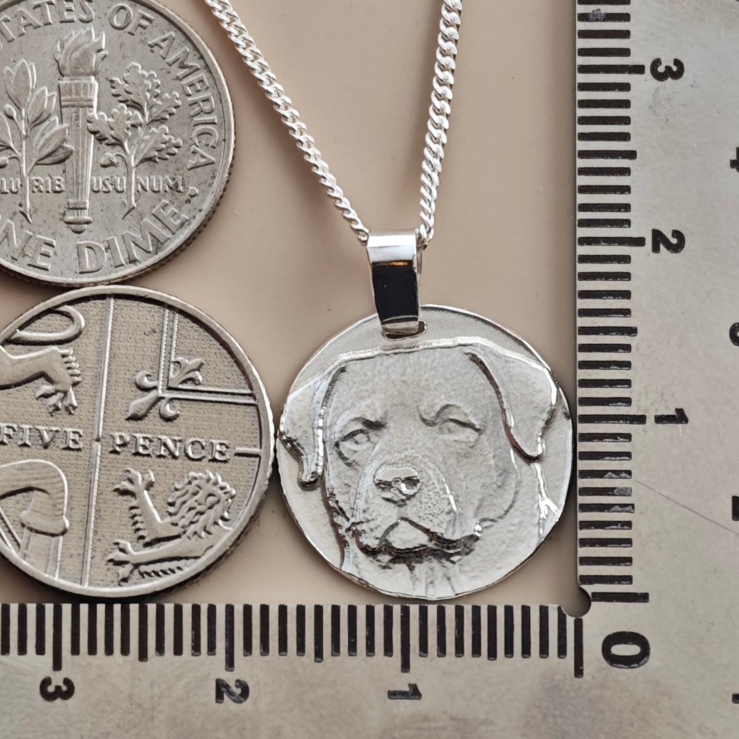 Rottweiler Coin Pendant Necklace, Recycled Sterling Silver
