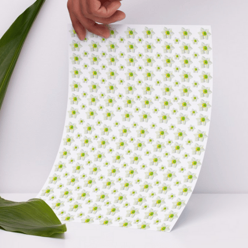 Daffodil gift wrap