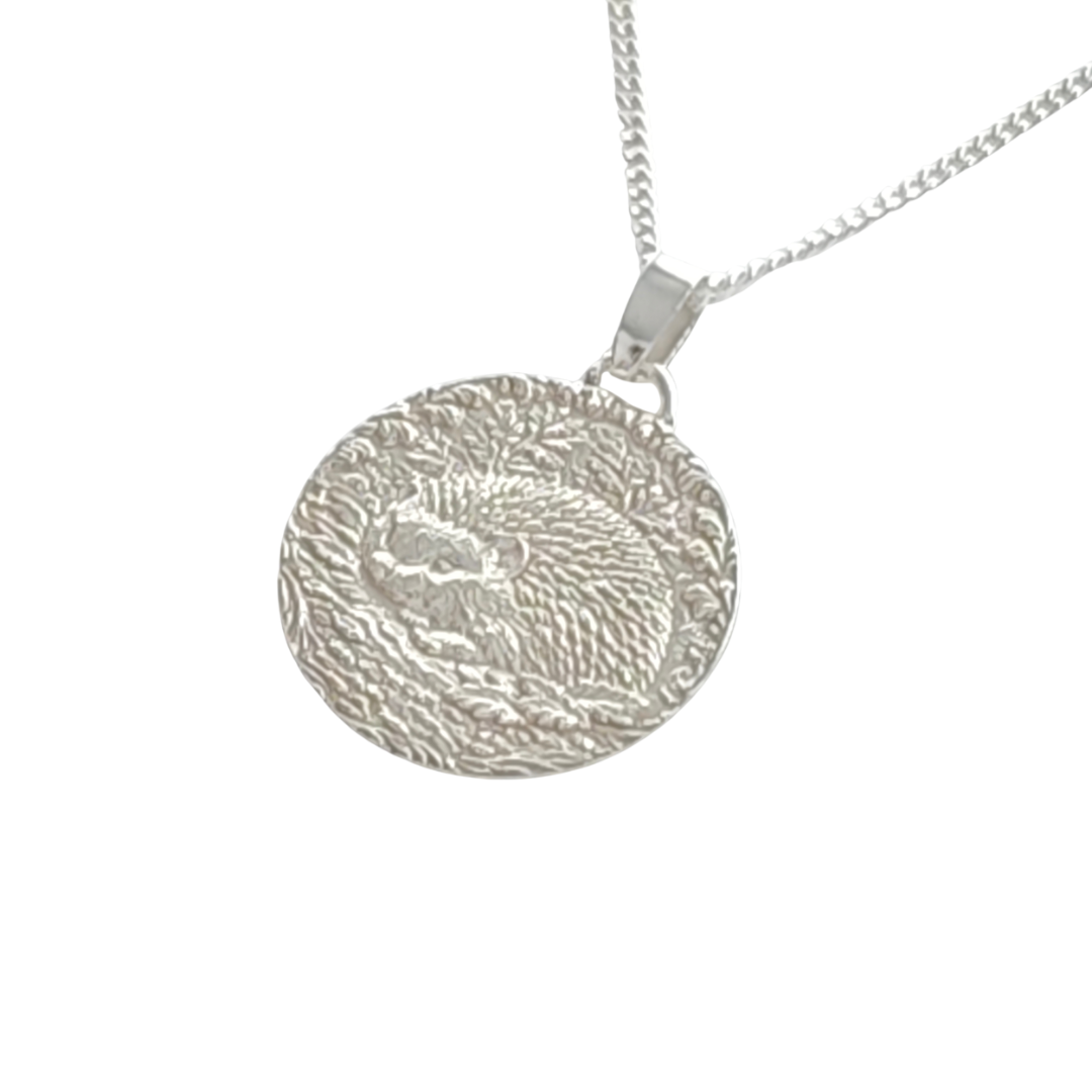Hedgehog Engraved Sterling Silver Coin Necklace