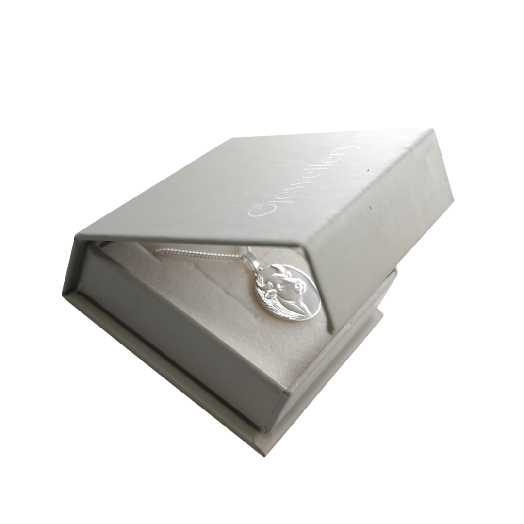 Taurus Zodiac Necklace Sterling Silver Bull Pendant Disc Gift April May