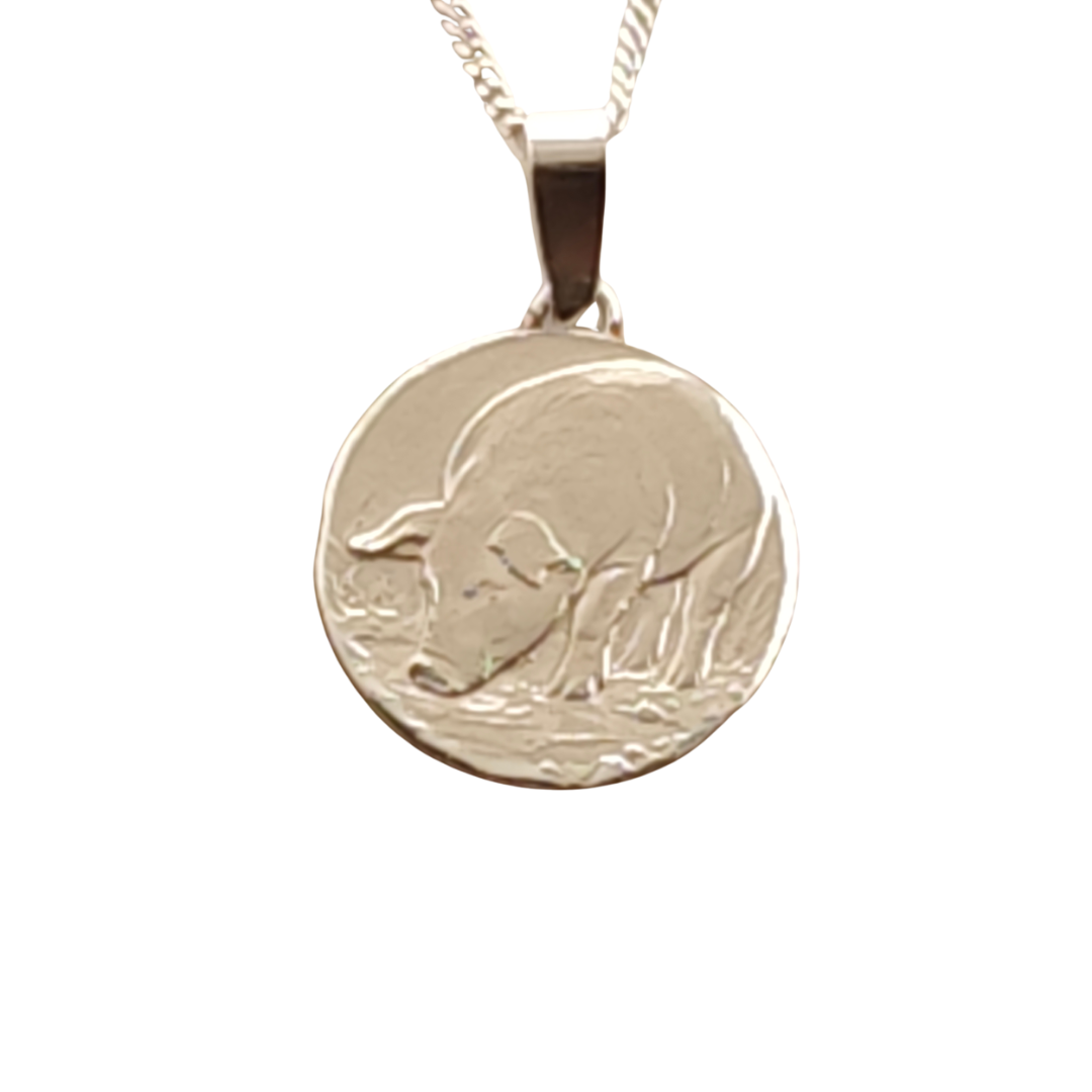 Pig Engraved Sterling Silver Coin Necklace
