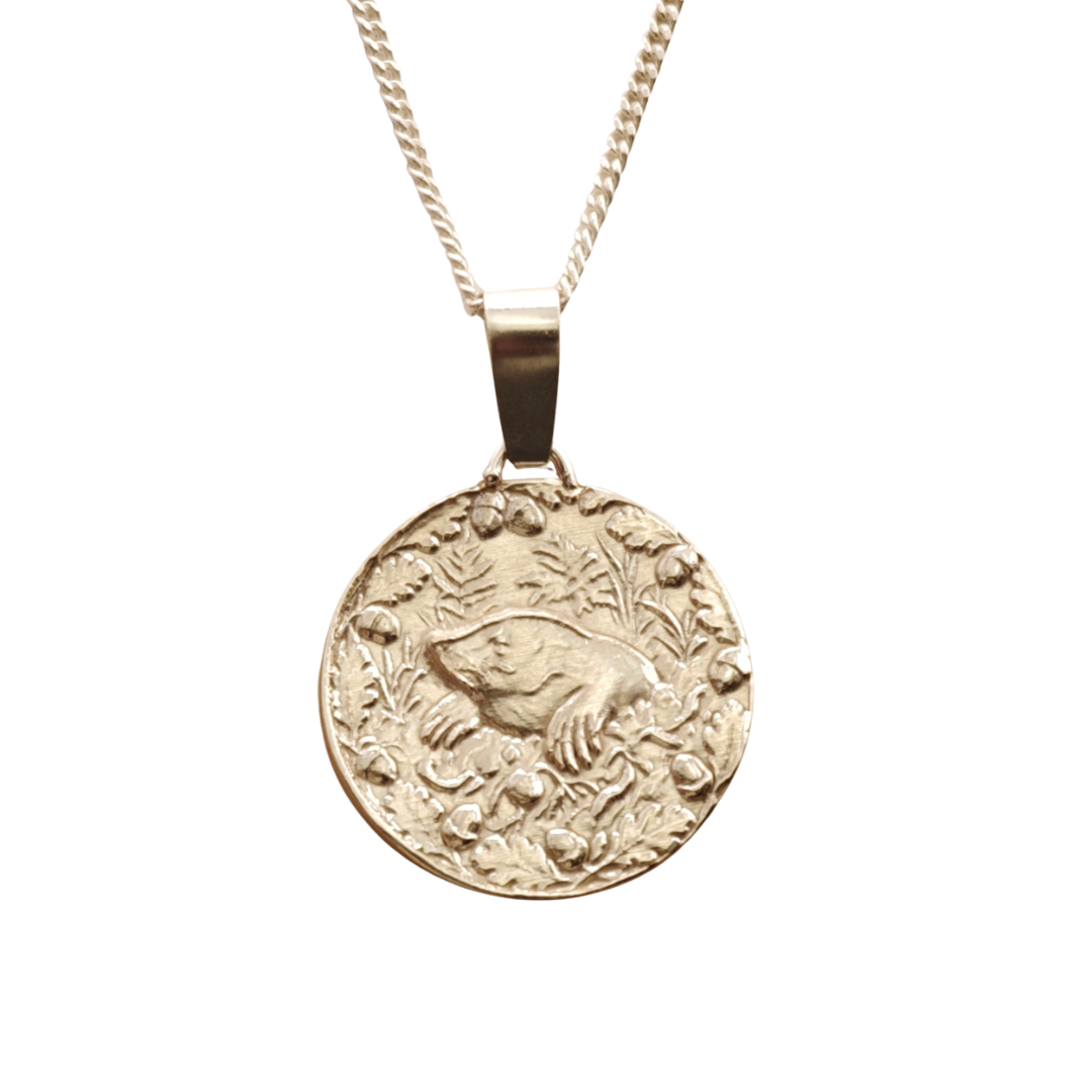 Mole Engraved Sterling Silver Coin Necklace