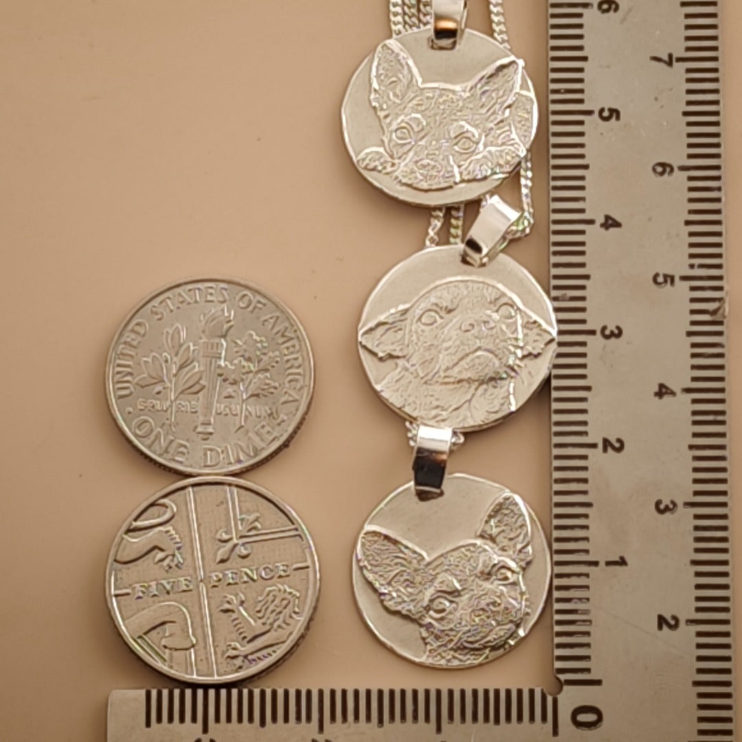 Chihuahua coin necklace - Curious expression