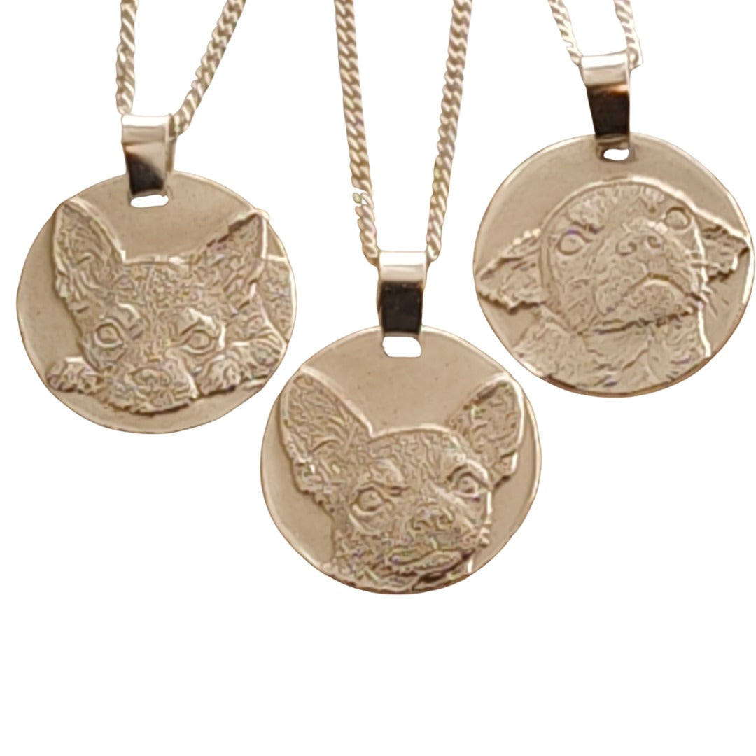 Chihuahua coin necklace - Alert expression