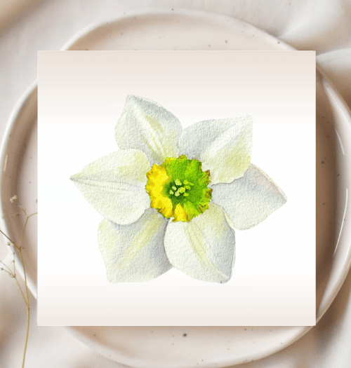 White flower with a yellow center on a white card, placed on a beige plate.