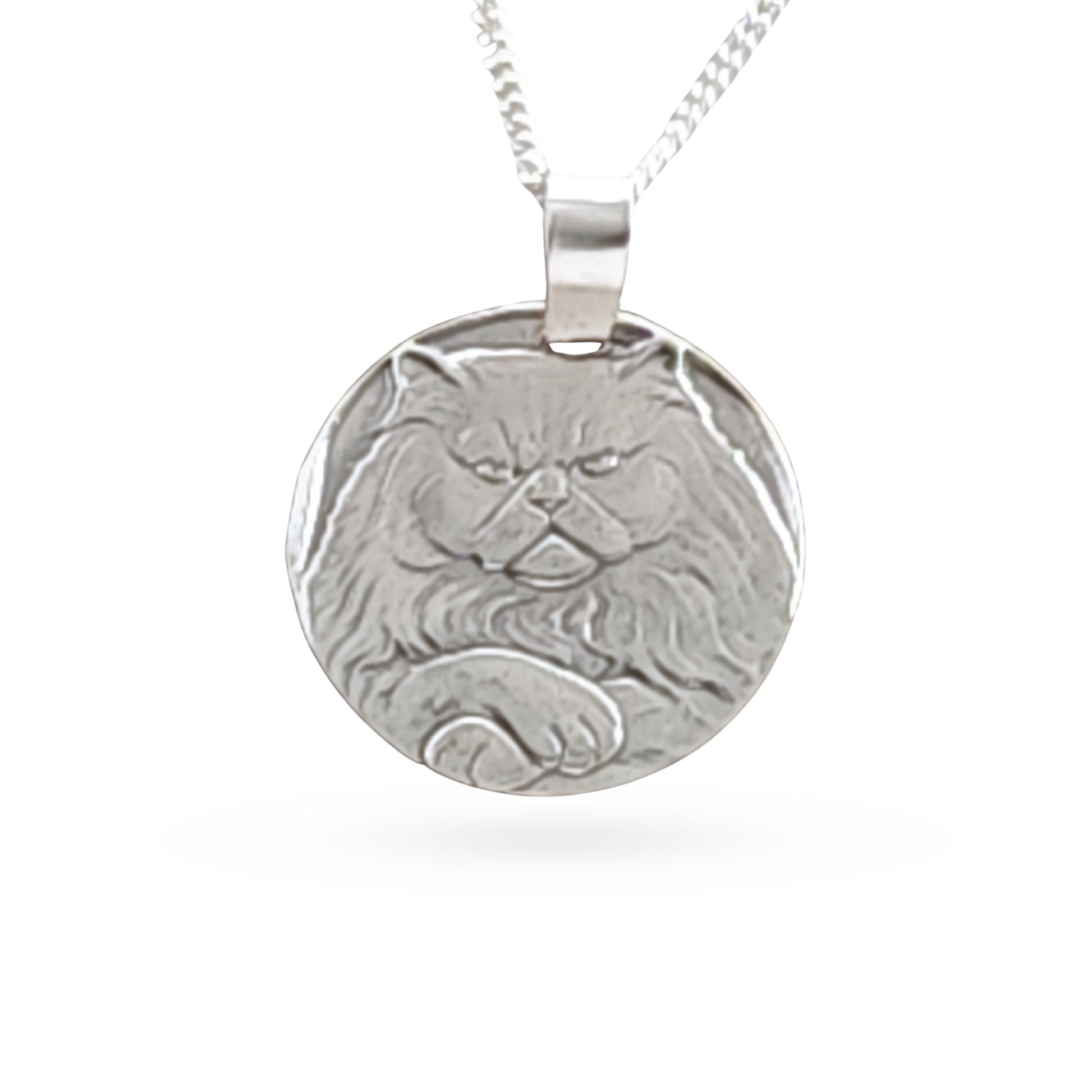 Sterling silver engraved Persian cat coin pendant necklace, handcrafted in the UK from recycled sterling silver