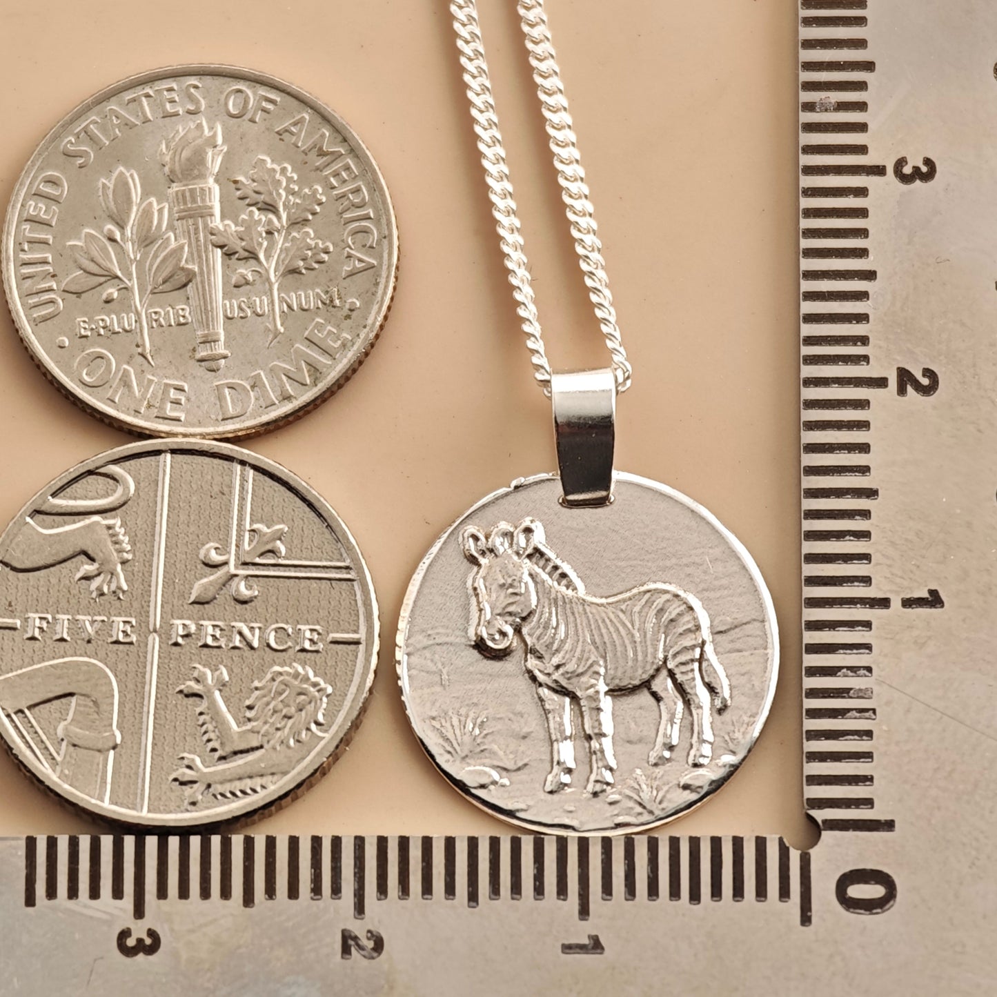 Zebra Coin Necklace – Deep Engraved Recycled Sterling Silver